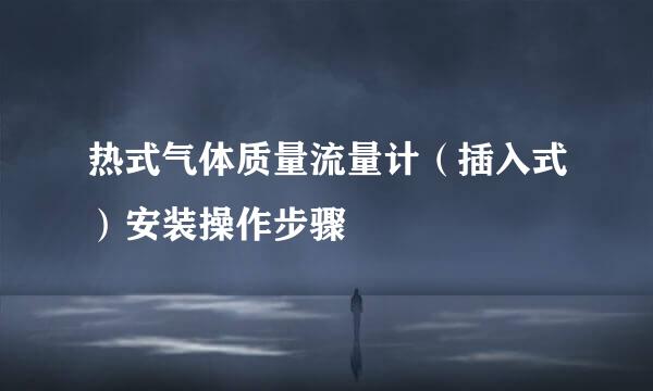 热式气体质量流量计（插入式）安装操作步骤