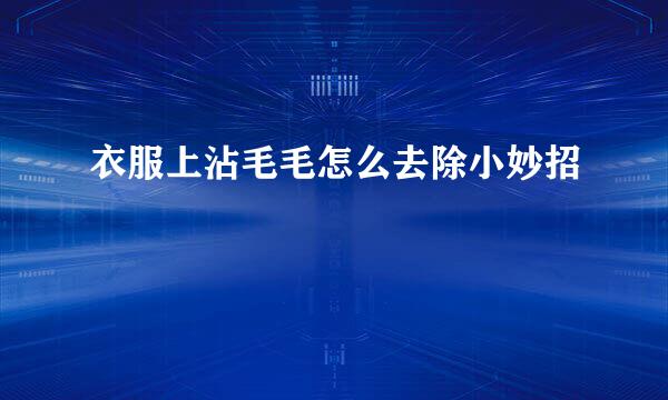 衣服上沾毛毛怎么去除小妙招