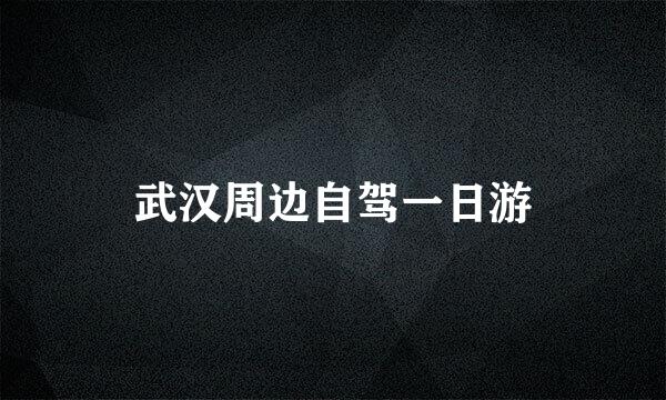 武汉周边自驾一日游