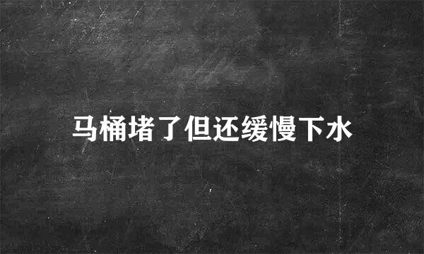 马桶堵了但还缓慢下水