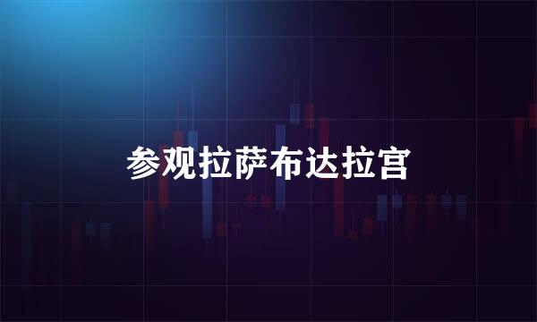 参观拉萨布达拉宫