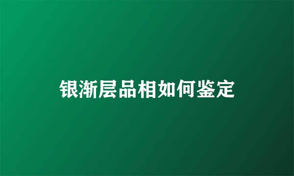 银渐层品相如何鉴定