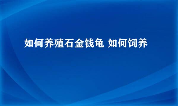 如何养殖石金钱龟 如何饲养