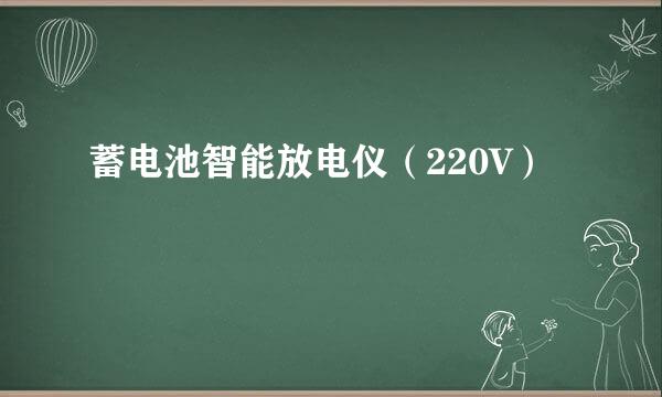 蓄电池智能放电仪（220V）