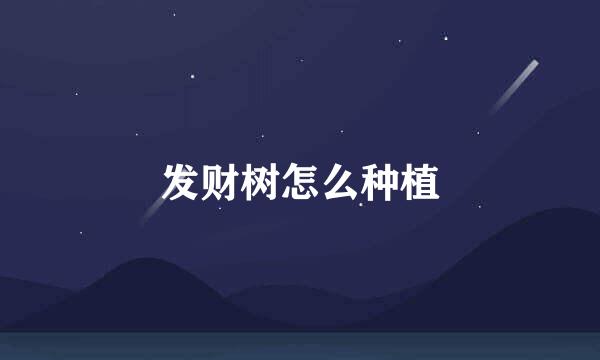 发财树怎么种植