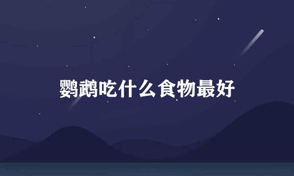 鹦鹉吃什么食物最好