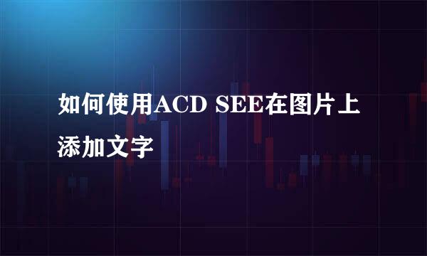 如何使用ACD SEE在图片上添加文字