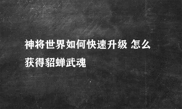 神将世界如何快速升级 怎么获得貂蝉武魂