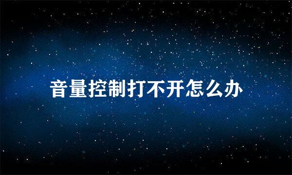 音量控制打不开怎么办