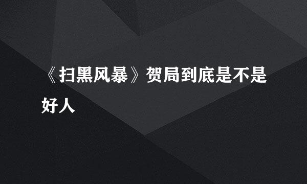 《扫黑风暴》贺局到底是不是好人