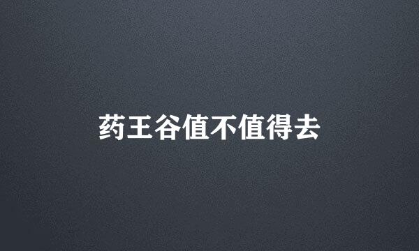 药王谷值不值得去