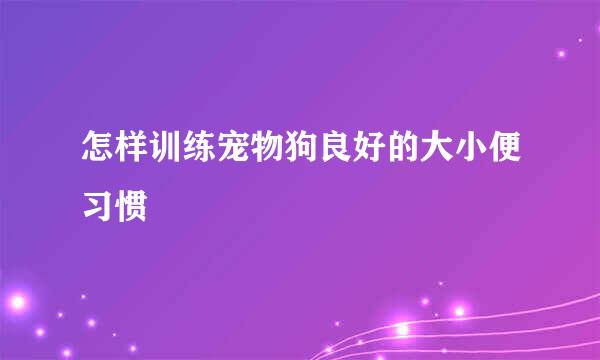 怎样训练宠物狗良好的大小便习惯