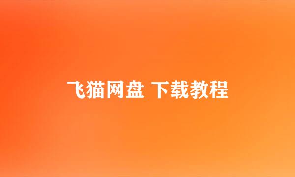 飞猫网盘 下载教程