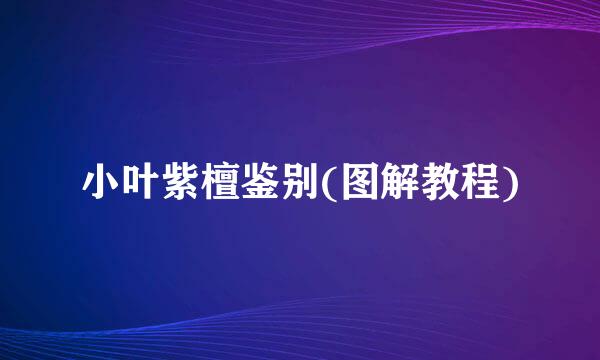 小叶紫檀鉴别(图解教程)