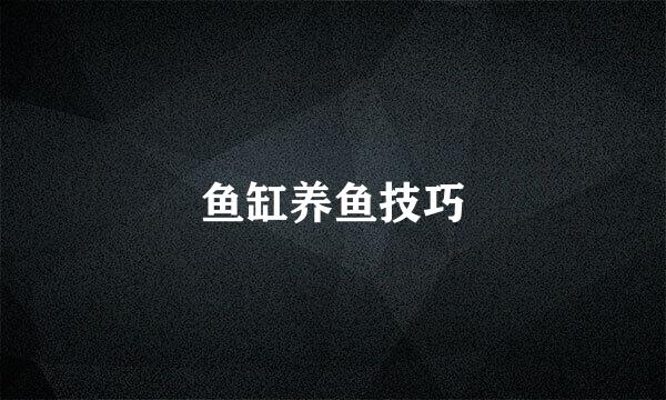 鱼缸养鱼技巧