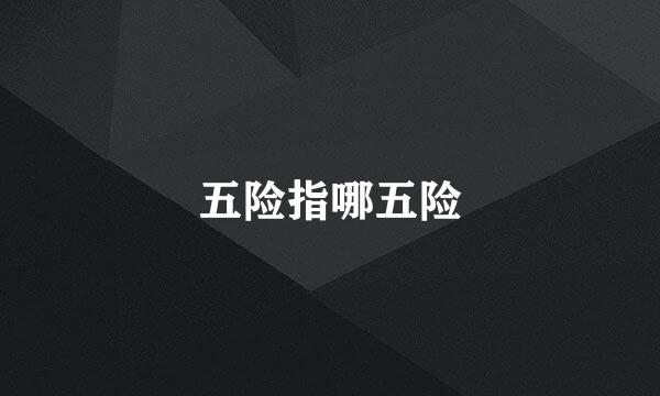 五险指哪五险