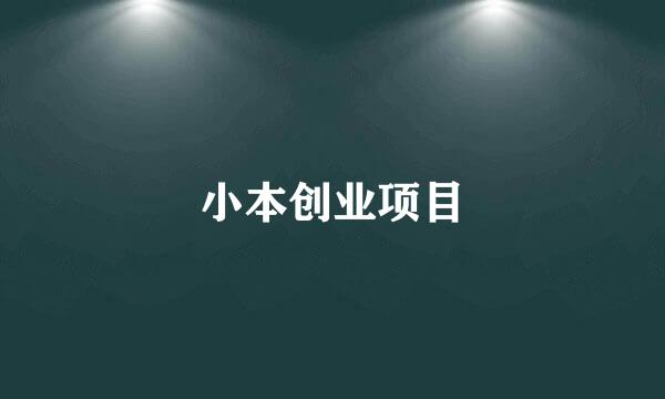 小本创业项目