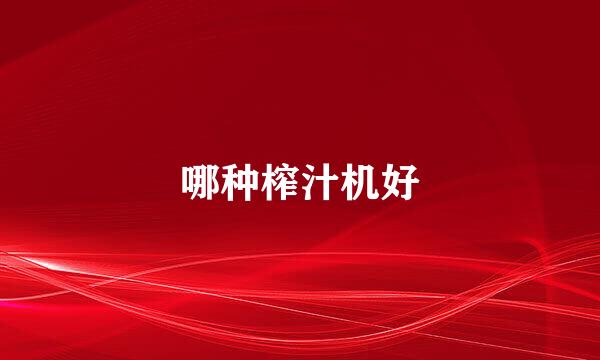 哪种榨汁机好