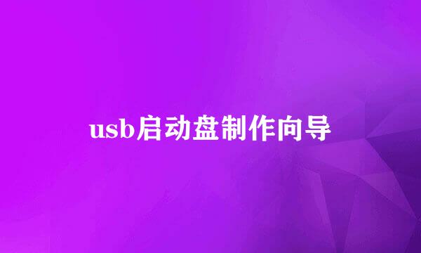 usb启动盘制作向导