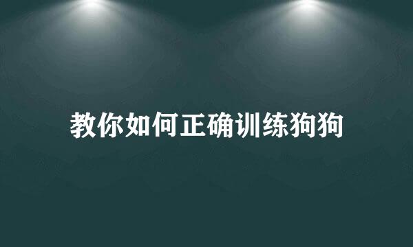 教你如何正确训练狗狗