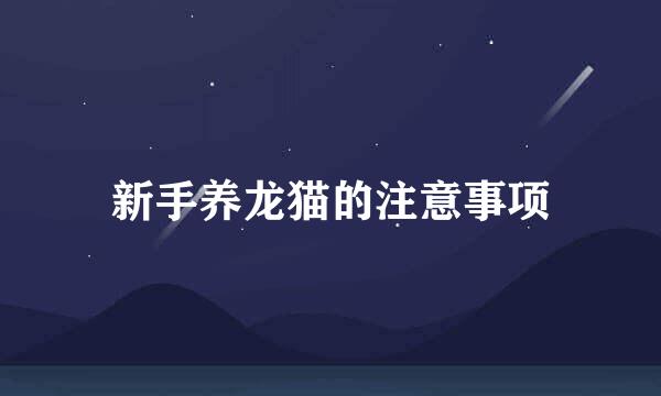新手养龙猫的注意事项