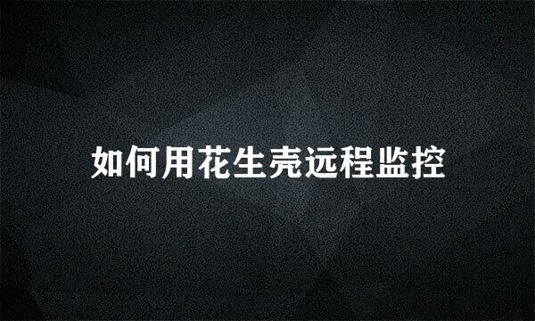 如何用花生壳远程监控