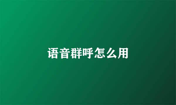 语音群呼怎么用