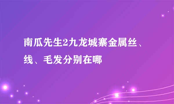 南瓜先生2九龙城寨金属丝、线、毛发分别在哪
