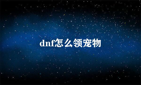 dnf怎么领宠物