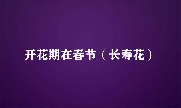 开花期在春节（长寿花）