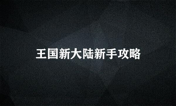 王国新大陆新手攻略