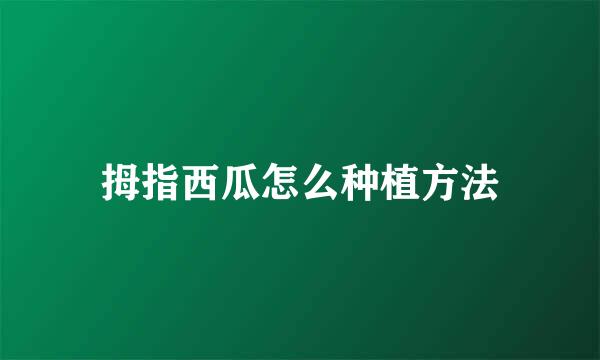 拇指西瓜怎么种植方法