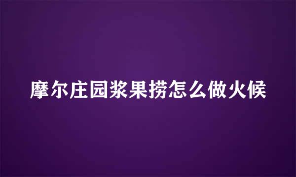 摩尔庄园浆果捞怎么做火候