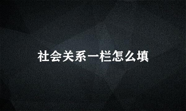 社会关系一栏怎么填