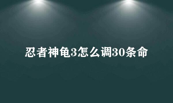 忍者神龟3怎么调30条命