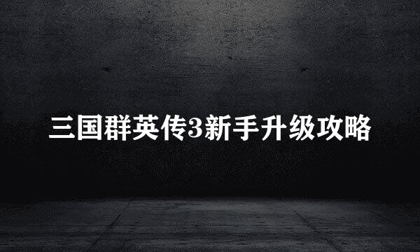 三国群英传3新手升级攻略