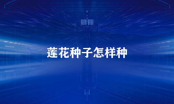 莲花种子怎样种