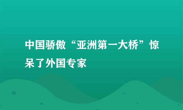 中国骄傲“亚洲第一大桥”惊呆了外国专家