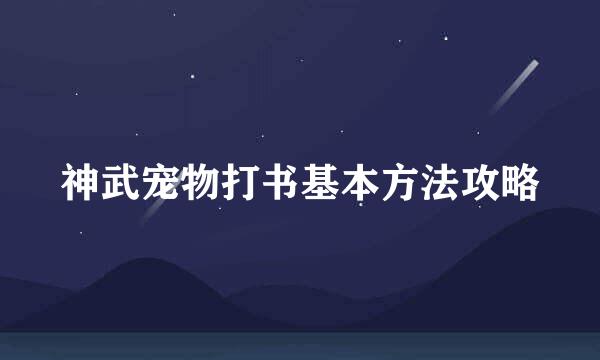 神武宠物打书基本方法攻略