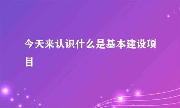 今天来认识什么是基本建设项目