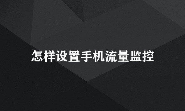 怎样设置手机流量监控