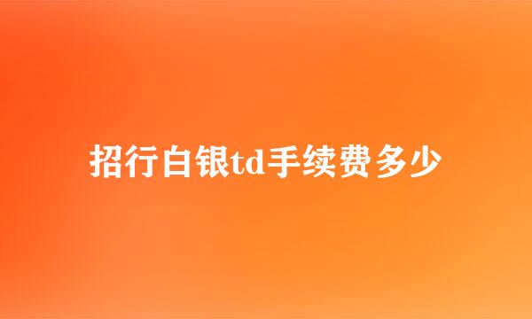 招行白银td手续费多少