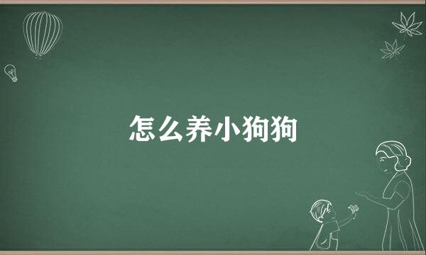 怎么养小狗狗