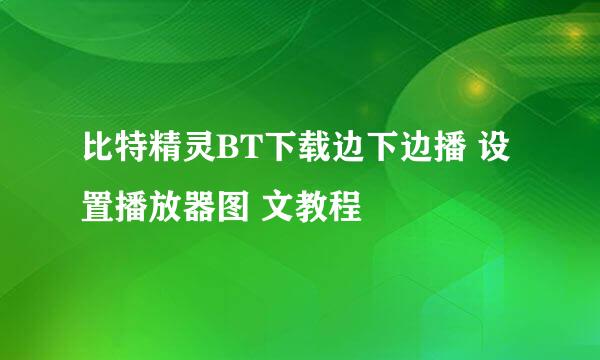 比特精灵BT下载边下边播 设置播放器图 文教程