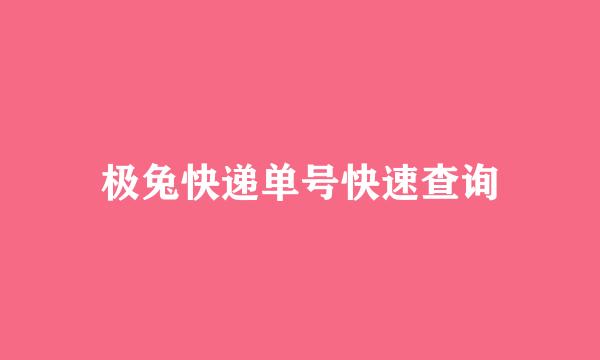 极兔快递单号快速查询