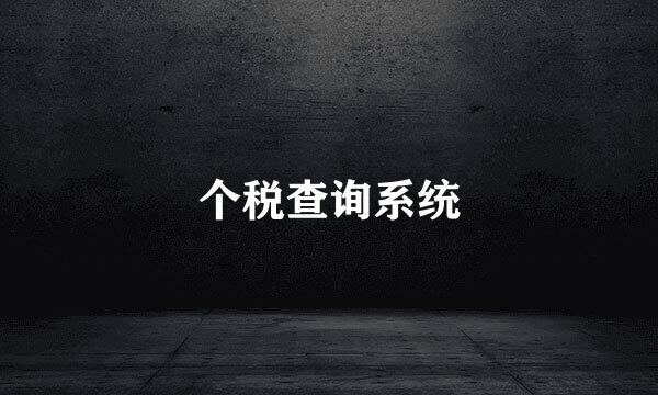 个税查询系统
