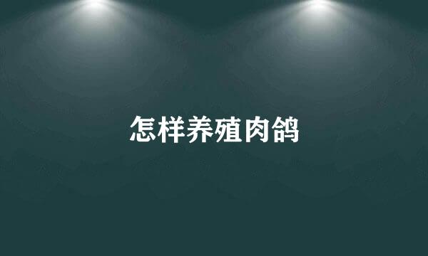 怎样养殖肉鸽