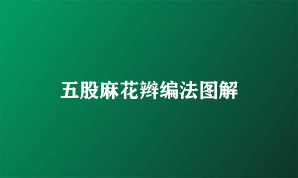 五股麻花辫编法图解