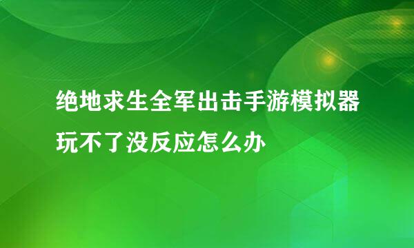 绝地求生全军出击手游模拟器玩不了没反应怎么办
