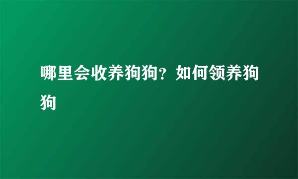 哪里会收养狗狗？如何领养狗狗
